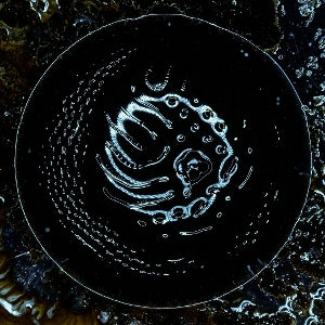 Stonus - Stonus
