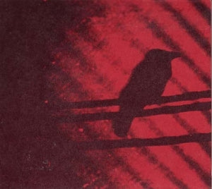 Silver Mt. Zion - Born Into Trouble As T...