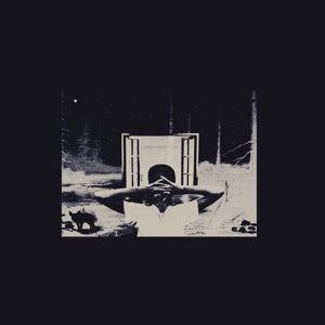 Earl Sweatshirt - I Don't Like Shit, I D...