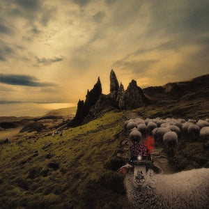 Carducci, Franck - Sheeple