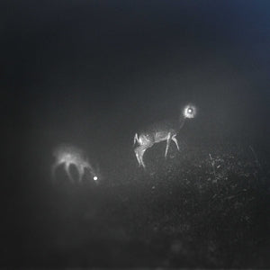 Bliss Signal, Mumdance... - Bliss Signal