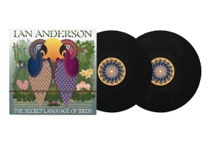 Anderson, Ian - Secret Language of Birds
