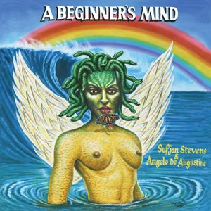 Stevens, Sufjan & ... - A Beginner's Mind