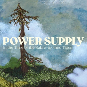 Power Supply - In the Time of Sabre-T...