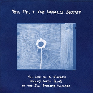 You, Me, + the Whales ... - You Are In a Kitchen F...