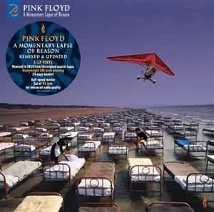 A Momentary Lapse of Reason
