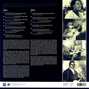 The Roots of the Blues. the Rough Guide